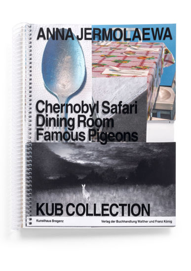 Picture of KUB Collection – Anna Jermolaewa